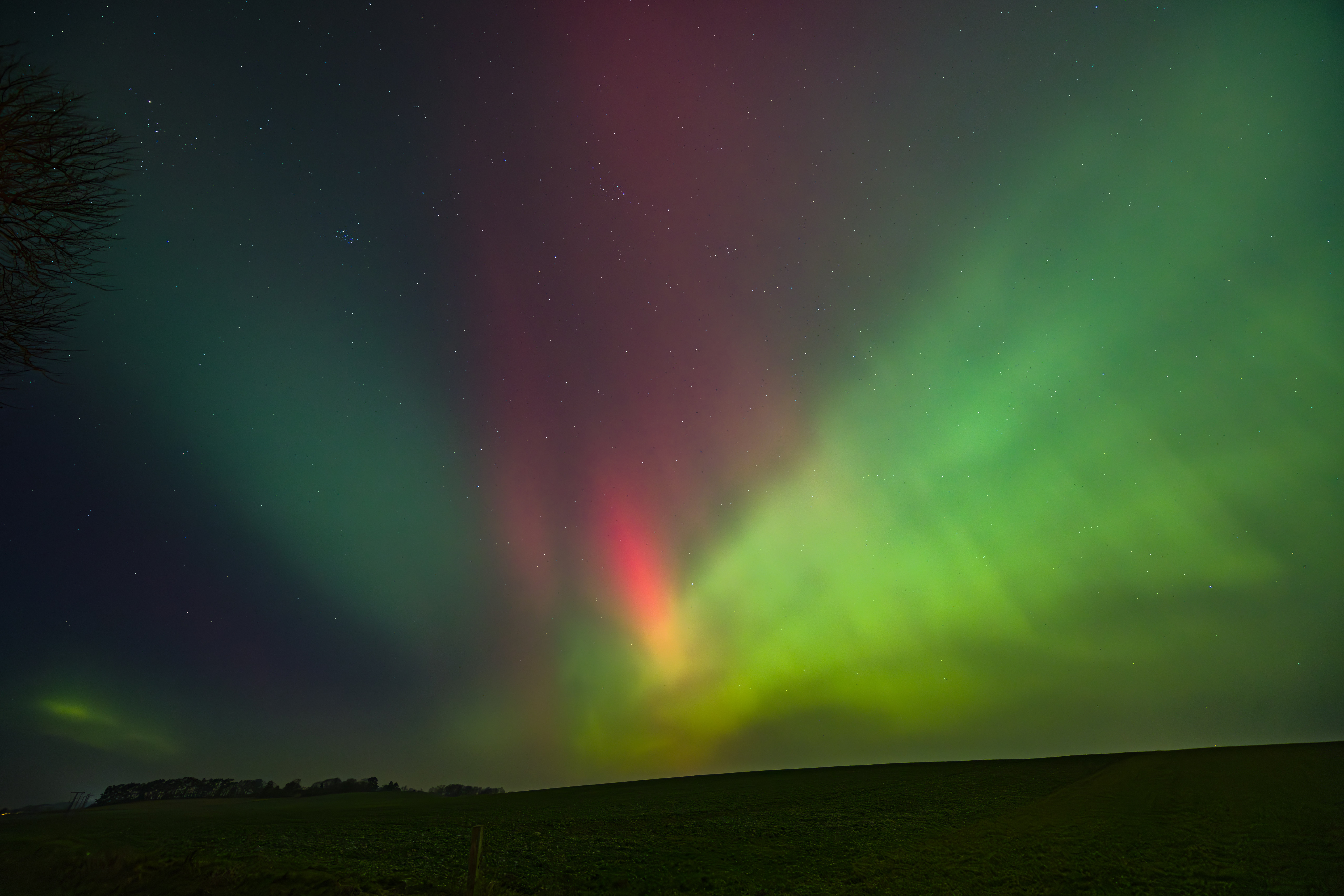 GMR52135 20260119 224005 14 mm 3.2 Sek. bei f   4,0 ISO 3200